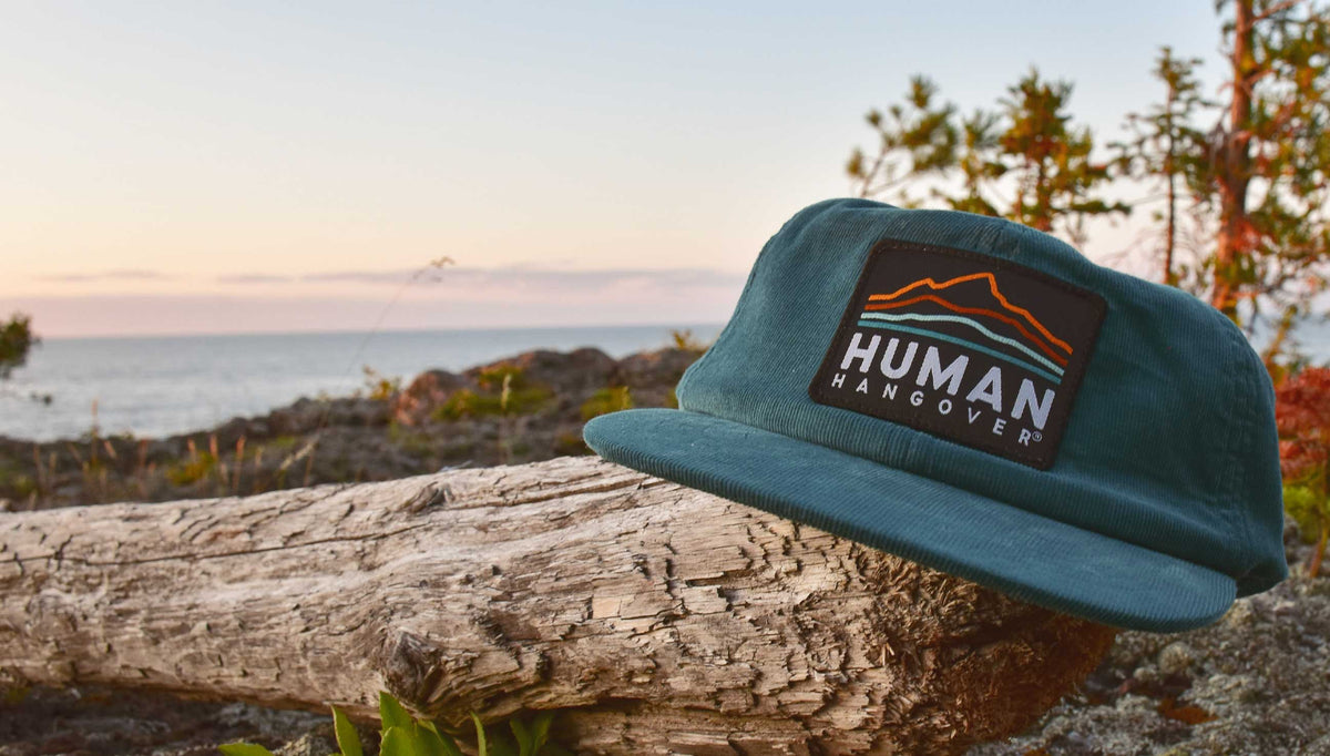 a hat on a log