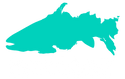 MichCamo®