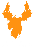 MichCamo®
