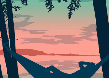 Presque Isle Hammock