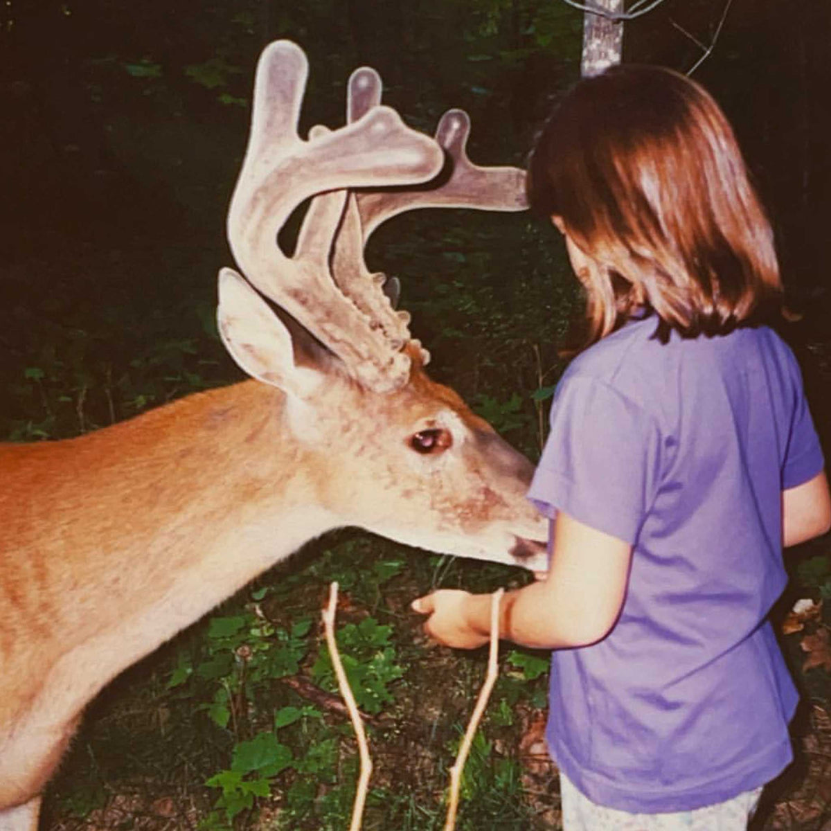 a girl petting a deer