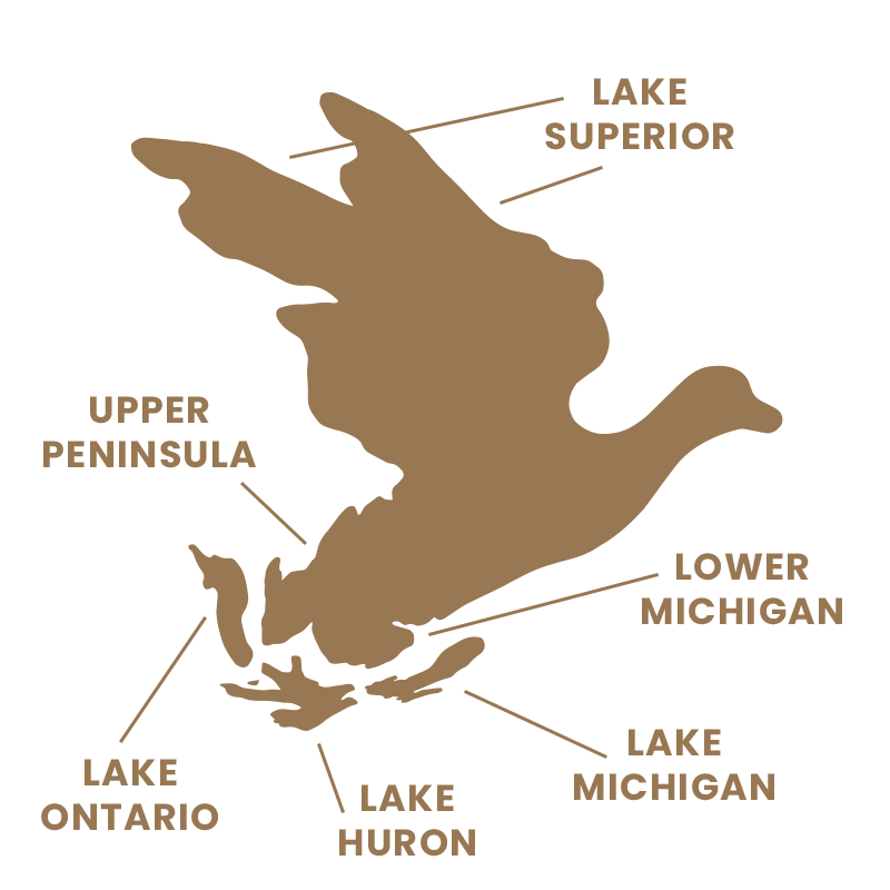 Michcamo Duck Michigan Wildlife Nature Silhouette Logo Copyright Protected