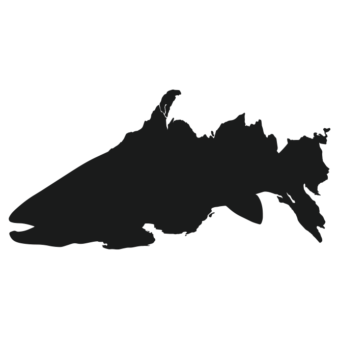Black Michigan Camo MichCamo Camouflage MichFish Logo Copyright Protected That Girl Amber