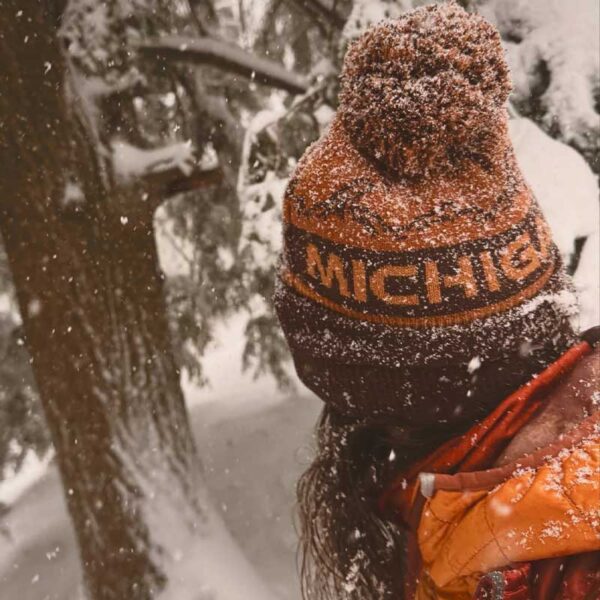 Michigan UP Mountains Beanie - Image 3